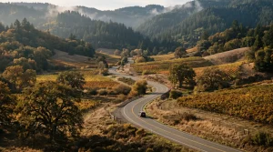 anderson valley wineries to put on your 2026 itinerary